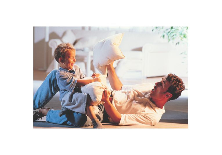 Sortie de toit et façade